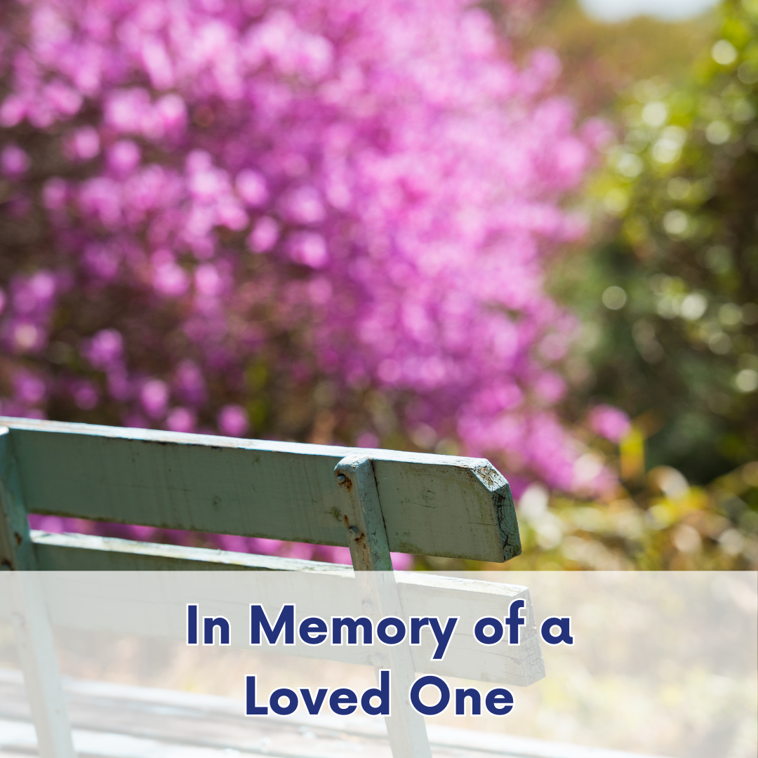 Empty park bench in a garden setting with soft pink blossoms in the background, symbolizing remembrance and reflection.